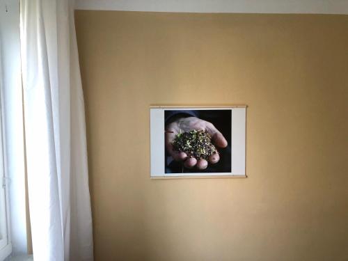 a picture of a hand holding vegetables on a wall at Hemmet B&B in Simrishamn