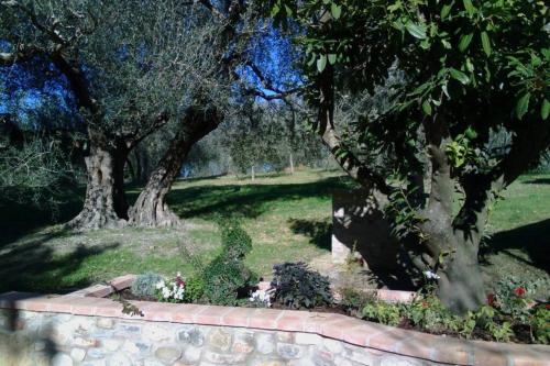 Κήπος έξω από το Il Picchio Verde