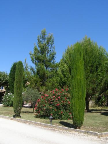 Photo de la galerie de l'établissement L'Oustau de Mistral, à Eyragues