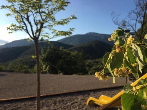 a yellow chair next to a tree with mountains in the background at Can Homs in Beuda