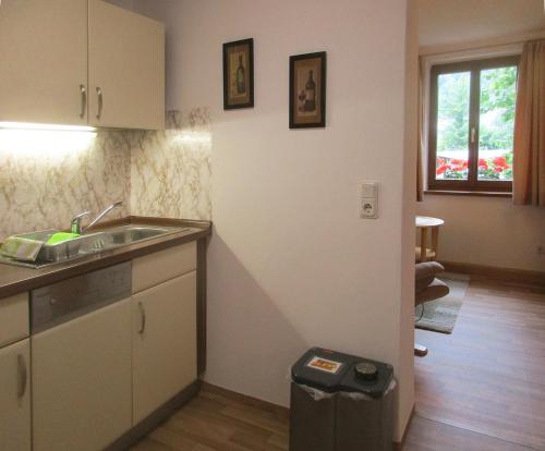 a kitchen with a sink and a counter top at Ferienwohnung Königstein in Bad Schandau