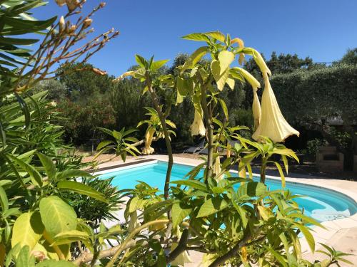 Photo de la galerie de l'établissement les Chambres d'Amis, à Sanary-sur-Mer