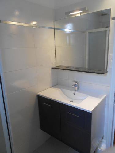 une salle de bain avec un lavabo et un miroir dans l'établissement Marseillan Plage Les Ancres appartement 2 pièces près mer et commerces, à Marseillan