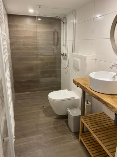 een badkamer met een toilet, een wastafel en een douche bij t Melkhuisje - EV lader aanwezig! in Haaksbergen