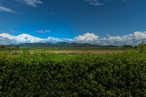 a hedge in front of a field with mountains in the background at Agriturismo Lucerna del Lago Prile in Castiglione della Pescaia