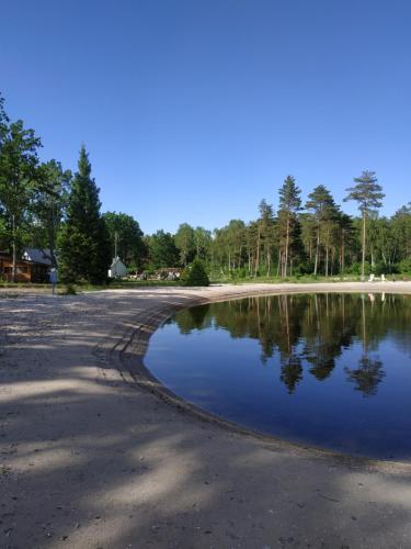 a pond in the middle of a parking lot at Tammemarise in Mändjala