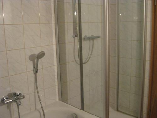 eine Dusche mit Glastür im Bad in der Unterkunft Panoramahotel Alde Hotz GbR in Görwihl