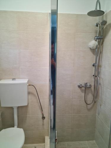 a man taking a picture of a bathroom shower at Casa Artemis-jacuzzi și piscină in Pianu de Sus