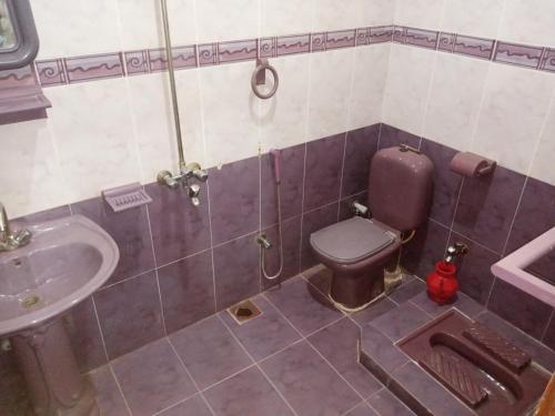 Hotel Decent Lodge tesisinde bir banyo