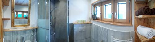 uma casa de banho com um chuveiro e uma porta de vidro em Landhaus Sonnenschein em Schladming