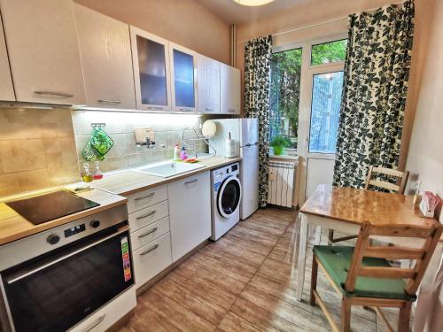 uma cozinha com um lavatório e uma máquina de lavar louça em Rila Apartment em Sófia
