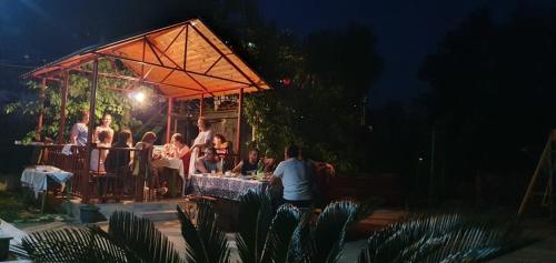Gallery image of Dato's GuestHouse in Makhinjauri