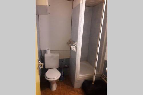 a small bathroom with a toilet and a shower at Appartement Barèges in Barèges