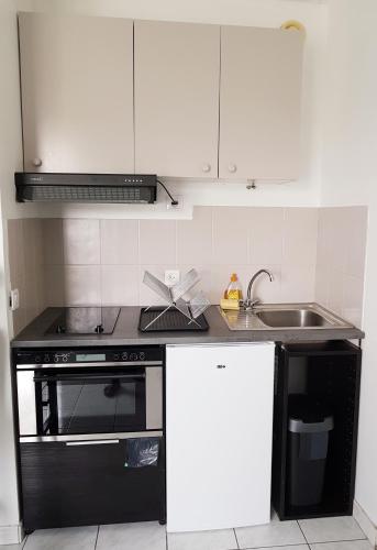 Il comprend une cuisine équipée d'une cuisinière noire et d'un évier. dans l'établissement Blue Lagoon, à Villers-sur-Mer