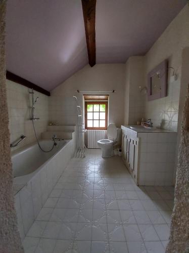une salle de bain avec une baignoire, des toilettes et un lavabo dans l'établissement Gîte Au près du Lys, à Saint-Martin-le-Beau