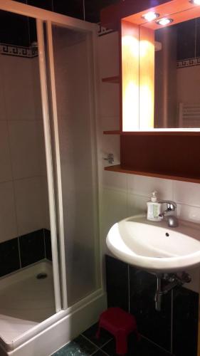 a bathroom with a shower and a sink at Apartmán Tatran A 12 in Donovaly