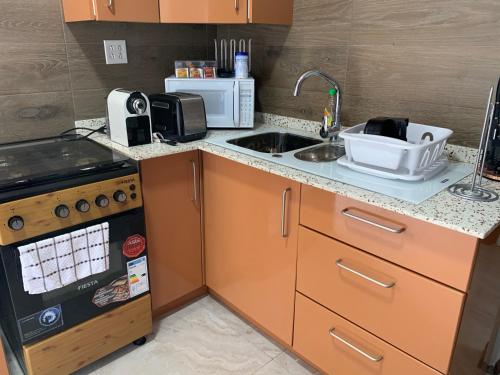 Η κουζίνα ή μικρή κουζίνα στο Pavema Apartments