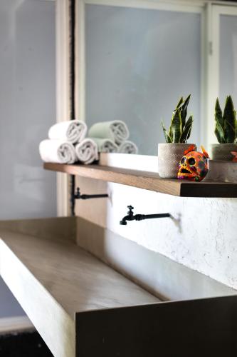 a shelf with paper towels and a plant on it at Casa Kanabri Hostal Boutique in Mexico City