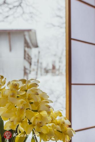 Fotografie z fotogalerie ubytování KONAYUKI v destinaci Myoko