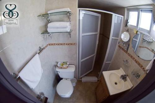 a bathroom with a toilet and a shower and a sink at Hotel Tres Sofias in Querétaro