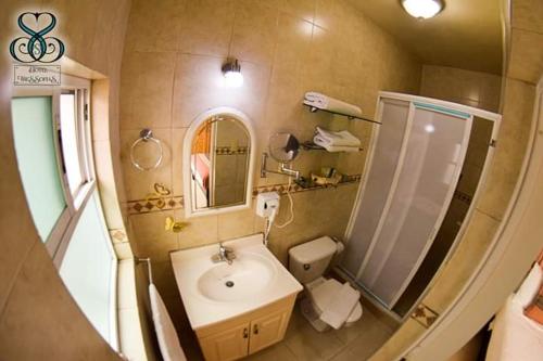 a bathroom with a sink and a shower and a toilet at Hotel Tres Sofias in Querétaro