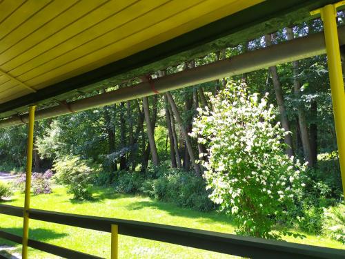 Jardín al aire libre en Na Jamajce