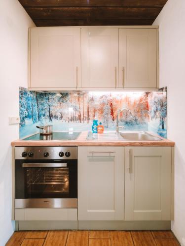 Cucina o angolo cottura di Apartment WILKY in Kaprun