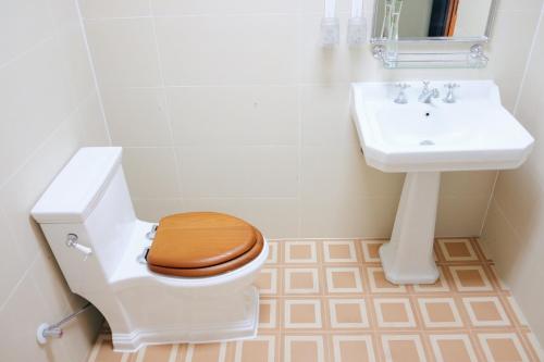 a bathroom with a toilet and a sink at 峨眉山一方民宿Mount Emei Little Place Guesthous in Emeishan