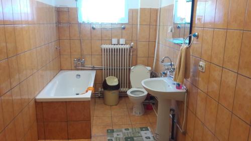 La salle de bains est pourvue d'un lavabo, d'une baignoire et de toilettes. dans l'établissement Family&Friends, à Ceahlău