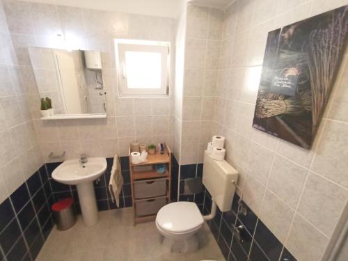 a small bathroom with a toilet and a sink at Apartment Prancic in Nečujam