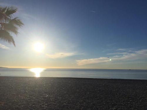 a beach with a palm tree and the sun at Hotel l'Etape in Villeneuve-Loubet
