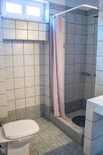 a bathroom with a toilet and a shower at Pine Trees and Sea View Houses in Hydra - Daphne, Chloe, Myrto, Eleni in Hydra
