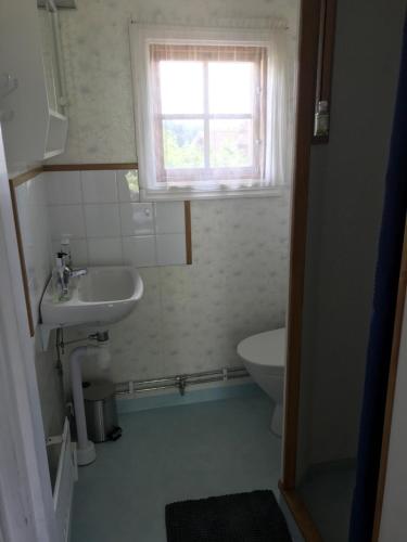 a bathroom with a sink and a toilet and a window at Stuga med havsutsikt i Sankt Anna in Sankt Anna