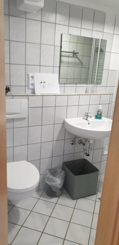 a bathroom with a sink and a toilet and a mirror at Ferienwohnung Vier Pfoten in Willingen
