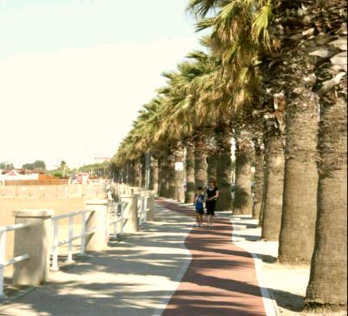 a row of palm trees on the beach at Casa Belvedere - Centro Storico in Barletta
