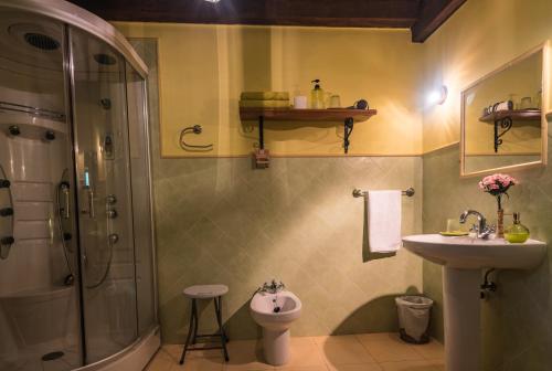 uma casa de banho com um chuveiro, um lavatório e um WC. em Posada Camino del Norte em Güemes