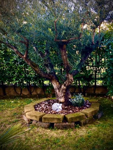 Сад в Residenza Il Fiore