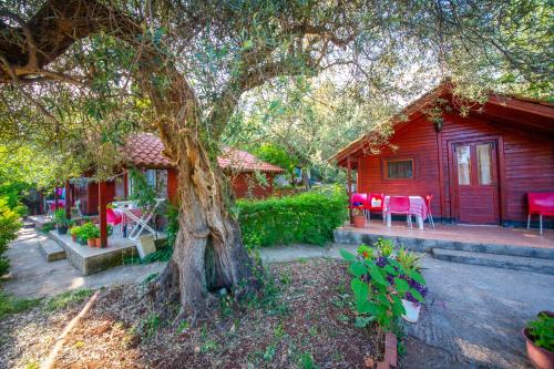 una cabina rossa con tavolo, sedie e albero di Lodges Shen Nikolla a Dhërmi
