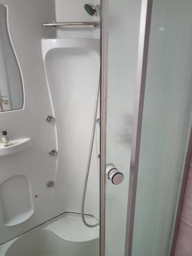 アドレルにあるApartment u Svetlanyのバスルーム(ガラスドア付きのシャワー付)
