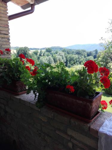 two potted geraniums on a window sill with a view at Fattoria di Rigone in Coltavolino