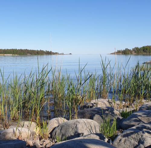a view of a body of water with rocks and grass at Rolfskärrs Stugby in Nygård