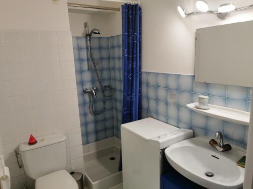 a bathroom with a toilet and a sink and a shower at Studio le Grand-Bornand Village in Le Grand-Bornand