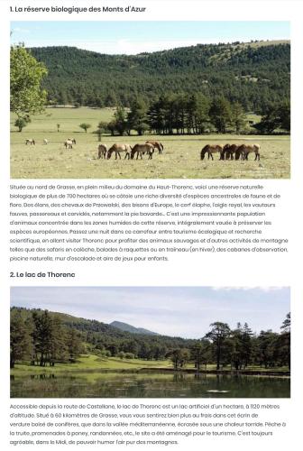 a group of horses grazing in a field at Les Merisiers B&B - Thorenc in Thorenc