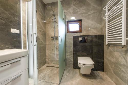 a bathroom with a shower and a toilet and a sink at PÓŁNOCNY ZAUŁEK in Stegna