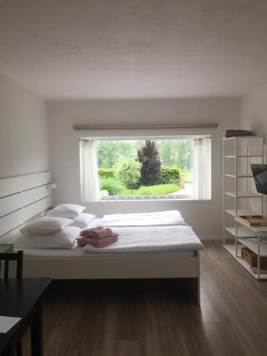 una camera da letto con un grande letto e una finestra di Studiový apartmán V Zahradě a Police nad Metují