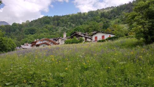 a field of flowers in front of a village at Delfin Dal Pianhol in Casteldelfino