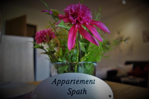a vase filled with pink flowers sitting on a table at Appartement Spath in Kaprun