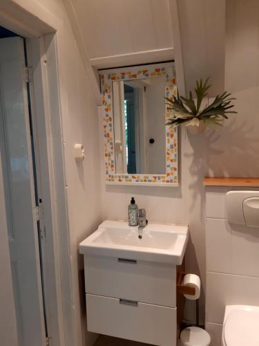 een badkamer met een wastafel en een spiegel bij B&B Appartement De Winkeljuffer in Bakkeveen