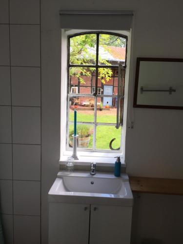 a bathroom with a sink and a window at Appartement im alten Pferdestall in Salzhausen
