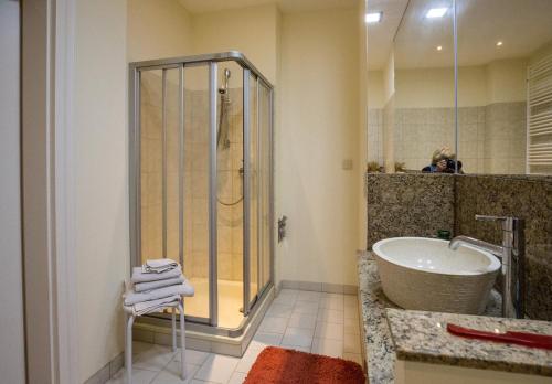 a bathroom with a shower and a sink and a tub at Urlaubsdomizil Lengefeld in Lengefeld